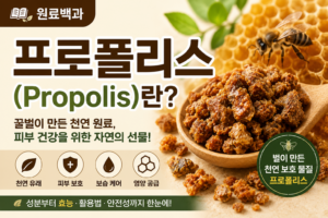 프로폴리스 썸네일