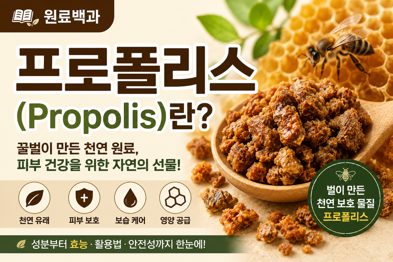 프로폴리스 썸네일